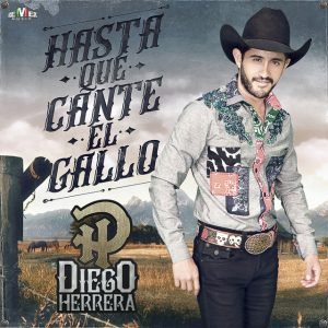 Diego Herrera - En todos los sentidos