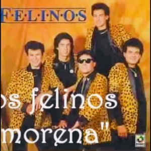 Los Felinos - Morena