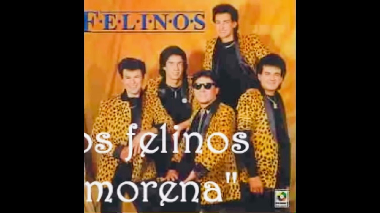 Los Felinos – Morena – Karaoke Ivan