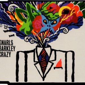 Gnarls Barkley - Crazy (cover)