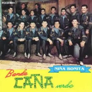 Banda Caña Verde - Amor Traicionero