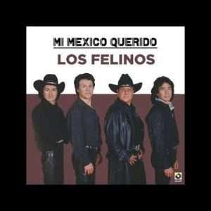 Los Felinos – Lápiz Labial