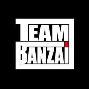 Tom Jones - She's A Lady (Team Banzai Remix)