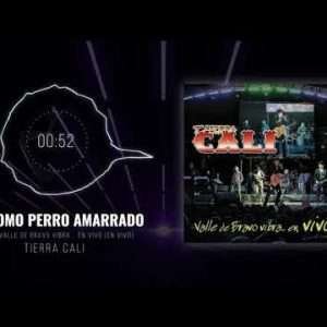 Tierra Cali - Como Perro Amarrado (En Vivo)